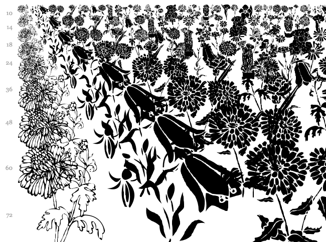 DT Flowers font waterfall